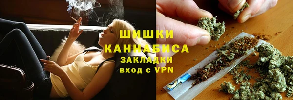 стафф Богданович